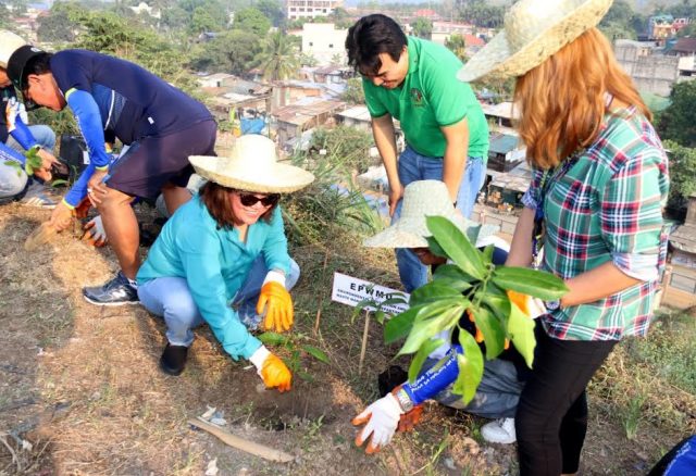 Tree planting Payatas