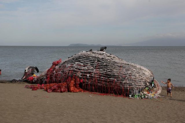 Beached whale art installation