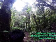 LOST IN FOREST | Sagada mayor: Missing Korean incident is cause for tighter tourism management Trekking in Barlig