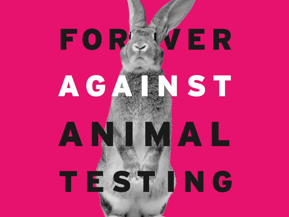 End animal testing'—Signature campaign pushed by The Body Shop