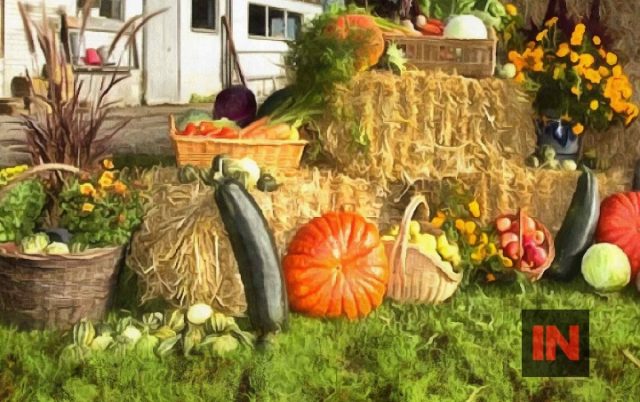 farm produce display