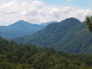 Cordillera forested mountain
