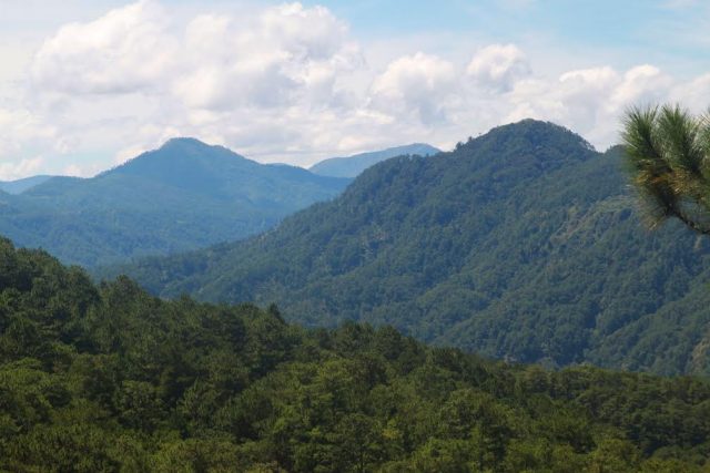 Cordillera forested mountain