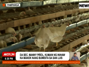 Pampanga bird flu poultry farm