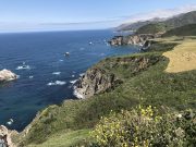 TRAVEL ESSAY | By the Bay
