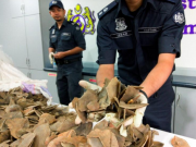 Malaysia seizes nearly $1 million in trafficked wildlife at airport