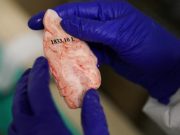 Born this way? Researchers explore the science of gender identity