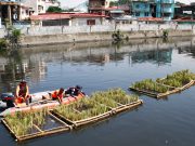 THE RIVER LIVES | Here’s why train operator LRMC also deploys tiny plants and weird balls on dirty esteros