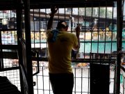 Jails, justice system at breaking point as war on drugs intensifies