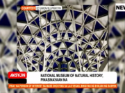 WATCH | The National Museum of Natural History just had its soft opening