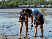 Butuan_mangrove_planting_the_seedlings_ERWIN_MASCARINAS