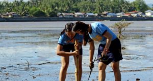 Butuan_mangrove_planting_the_seedlings_ERWIN_MASCARINAS