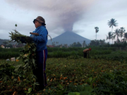 Indonesia raises Bali volcano alert to highest level, airport shut, thousands of tourists stranded