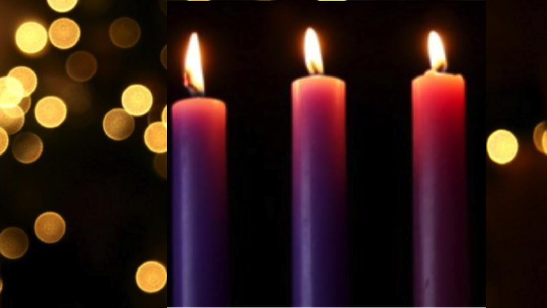 REFLECTION Third Sunday of Advent 'I am not the Messiah'
