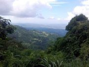 BEGONE FOREVERMORE | Tourists reminded that ‘La Presa’ a protected area