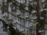 Romans decry ‘Mangy’, city’s threadbare Christmas tree, as symbol of decline