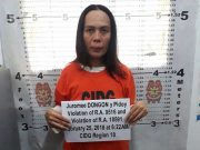 Widow of slain terrorists Janjalani and Marwan captured; guns, grenades seized in Lanao ops