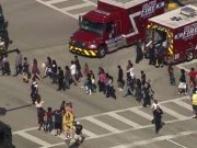 Ex-student kills 17 in shooting spree at Florida high school