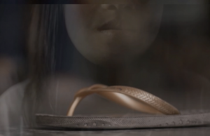 PCIJ_video_slipper