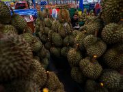 Science explains why a rotting durian caused an entire university to evacuate