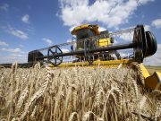 Dimming sunlight to slow global warming may harm crop yields — study