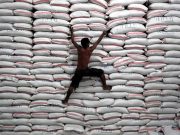 Philippine GDP growth not seriously impacted by rate hikes