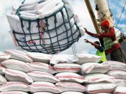 Philippines’ rice imports may hit 2.4 million tons, second biggest on record