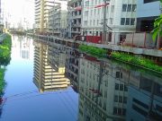 A scene that’s hard to believe: A garbage-free Binondo creek