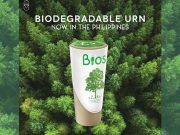 Biodegradable urn