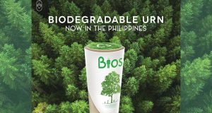 Biodegradable urn