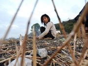 Murders of indigenous people fighting for forests hit record high A girl rests