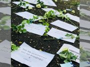 UP rally against frat-related violence