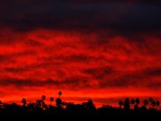Morning sun rises in Santa Ana, California