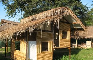 Bamboo hut