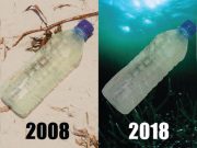 10 year challenge