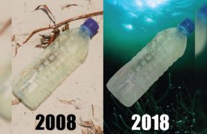 10 year challenge