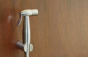 Bidet shower