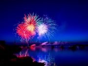 How New Year revelries can be a better time for pets Fireworks by the bay