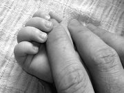 Infant's hand with adult