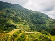 Banaue Rice Terraces Pixabay