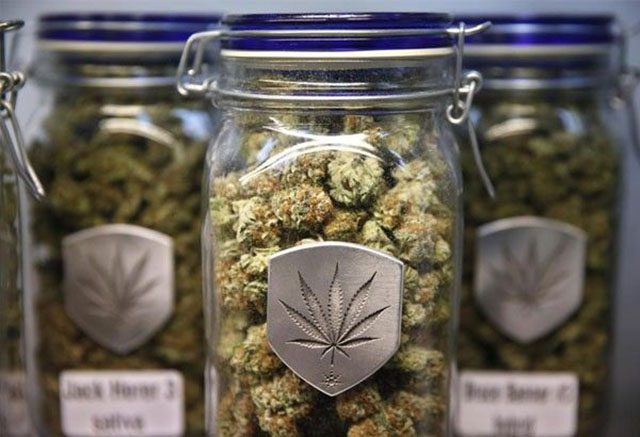 Marijuana in a jar