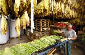 Farmer in Switzerland