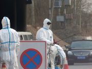 Swine flu outbreak