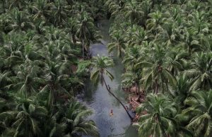 Siargao Circumferential Road