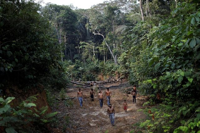 Indigenous people from the Mura tribe shows a deforested area in ??unmarked indigenous lands inside the Amazon rainforest near Humaita