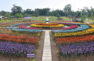 A garden made out of 30,000 plastic bottles shaped into tulips is created as part of the local government's efforts to raise environment awareness and attract tourism in Lamitan City