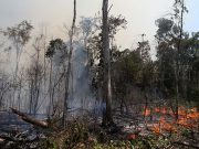 A fire burns a tract of the Amazon jungle in the city of Uniao do Sul