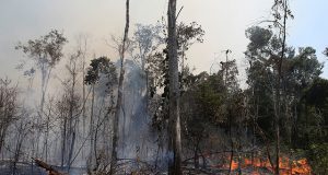 A fire burns a tract of the Amazon jungle in the city of Uniao do Sul