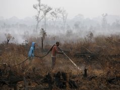 Indonesian workers extinguish the fire at a palm oil plantation at the Pampangan district in Ogan Komering Ilir