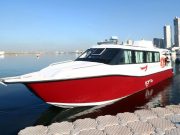 Pasig River Ferry Service